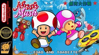Mush Mush: Toad and Toadette - Hack of Squashed [NES] Longplay