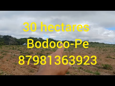Da PE585, 12kms, Bodoco-Pe. 50 kms, aproveite a oportunidade. Pedida 130 mil.