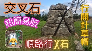 【行山搵石】交叉石｜X石｜超簡易版｜舊石成個人咁高｜順路之行｜行開針草帽順路｜輕鬆易行｜秘景｜詳細路況
