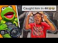 TikTok Memes Kermit The Frog Caught In 4k