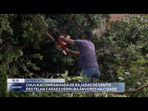 Alpercata: Chuva Acompanhada de Rajadas de Vento Destelha Casas e Derruba árvores na Cidade.