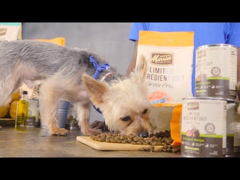 Merrick Limited Ingredient Diet Dog Food | 2018