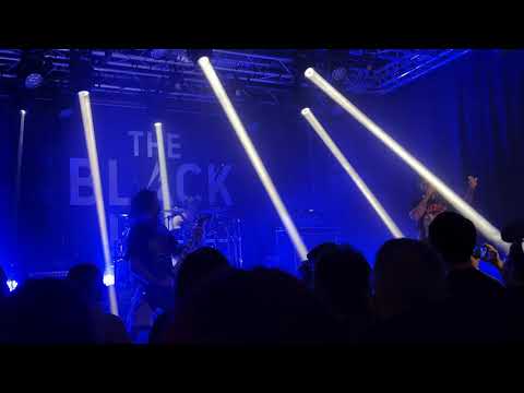To Violently Vomit - Revelations XVIII (Live @ The Black Lab, Wasquehal, 30/01/2025)