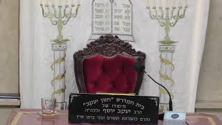 בית המדרש חזון יעקב • יום ראשון ח' שבט תשפ'ו (בית הכנסת מוסאיוף) - התמונה מוצגת ישירות מתוך אתר האינטרנט יוטיוב. זכויות היוצרים בתמונה שייכות ליוצרה. קישור קרדיט למקור התוכן נמצא בתוך דף הסרטון