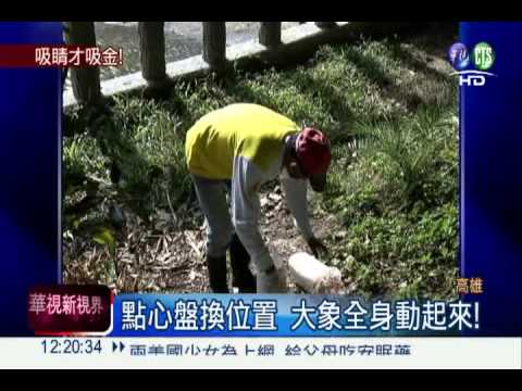 壽山動物餵食秀 3萬人搶看!