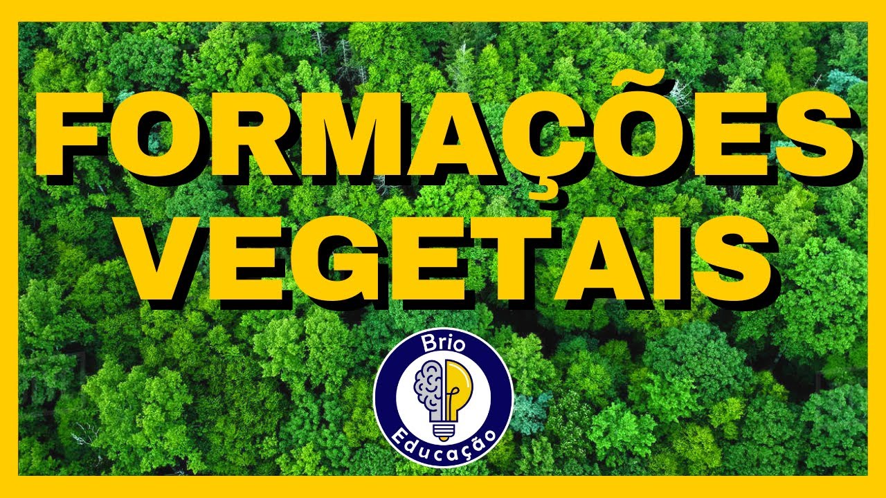 Geografia: Formações Vegetais | Ensino Fundamental |