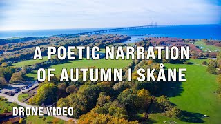 Autumn - By Thomas Shelby (AI) - A poetic narration of the fall - In 4K