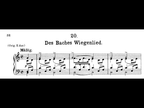 Franz Schubert- Des Bached Wiegenlied