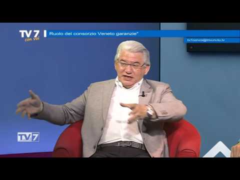 Tv7 con Voi del 15/6/2017 - Consorzio Veneto garanzie (2 di 3)