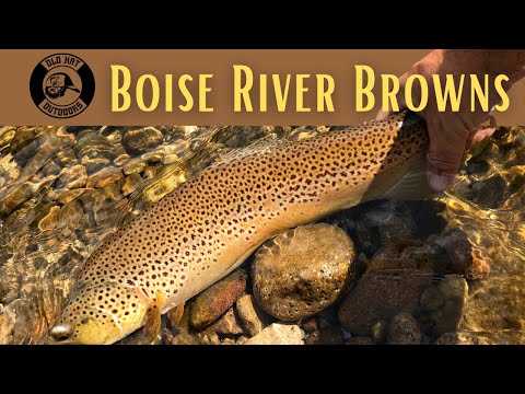 image-Is there good fishing in Boise Idaho?