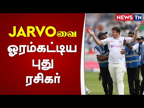 New cricket fan overtakes Jarvo | Cricket | Famous cricket fan | Highlights | Jarvo 69 | Newstn