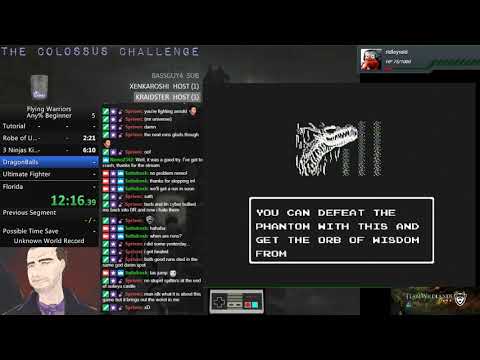 Flying Warriors Any% Beginner First run!