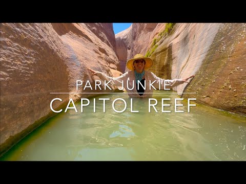 Wandern in den Halls Creek Narrows im Capitol Reef National Park