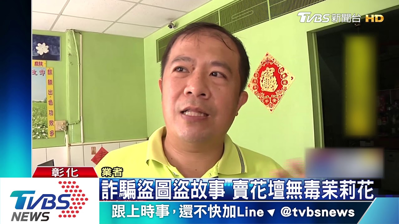 詐騙盜圖盜故事 賣花壇無毒茉莉花