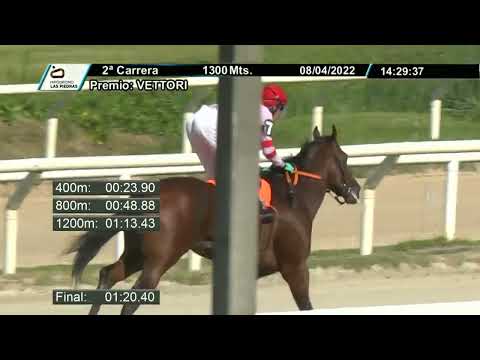 220408 c02 -  PAMPANEIRO  - HIPODROMO LAS PIEDRAS