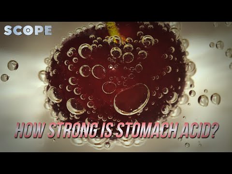How Strong is Stomach Acid? | Angry Time with Jalan Moans