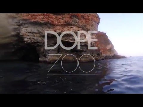 THIS IS DOPEZOO