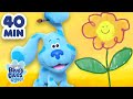 40 Minutes D Activités Manuelles Avec Blue Et Josh Blue Et Ses Amis