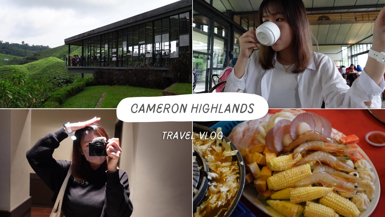 Cameron Highlands Travel VLOG Road Trip 🚗🌿🌬 | Malaysia🇲🇾 採草莓时偷吃 差点被工作人员发现❔❕🍓 | SuShan