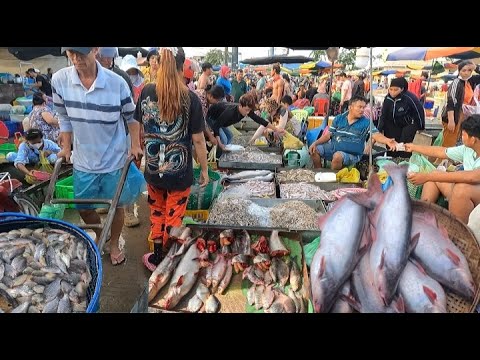 Ever Seen Morning Fish Market Scenes - Fish, Seafood, Frog, Dry Fish in Market