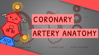 Coronary Artery Anatomy & Myocardial Infarction