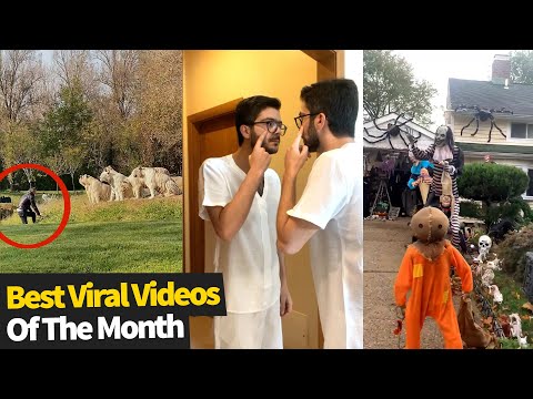 Top 30 Viral Videos Of The Month - October 2021