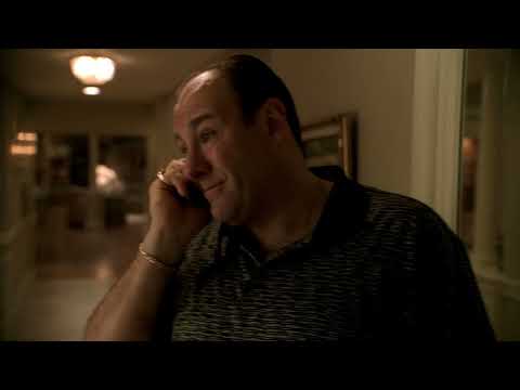 Magammal viszem Paulie-t - Maffiózók