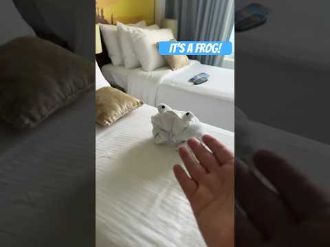 We got a FROG! #cruise #travel