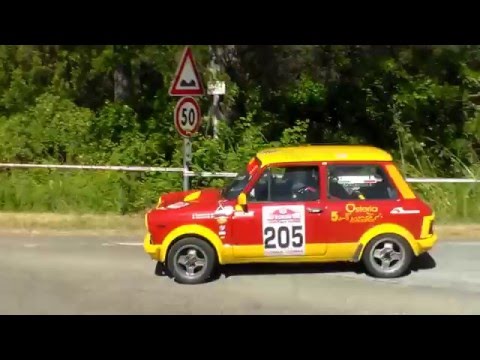 34° Rally Casciana Terme 2016 (PS 4) Crash + Show