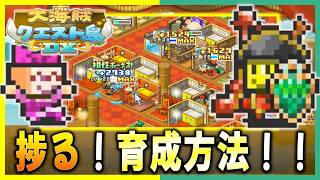 【大海賊クエスト島DX】知識とパワーアップアイテムを基本放置で集める方法！【引き継ぎ無し攻略】＃１２．５