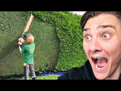 Mest TILFREDSSTILLENDE Arbejdere