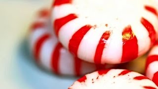 SICKLY SWEET | Halloween Scary Stories + Creepypastas | Chilling Tales for Dark Nights