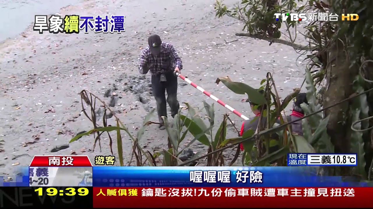 ​九蛙疊像　露出八隻！遊客險踩泥沼拍照