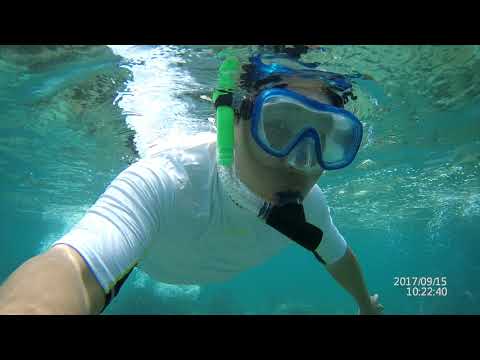 Lovely place-Apo land