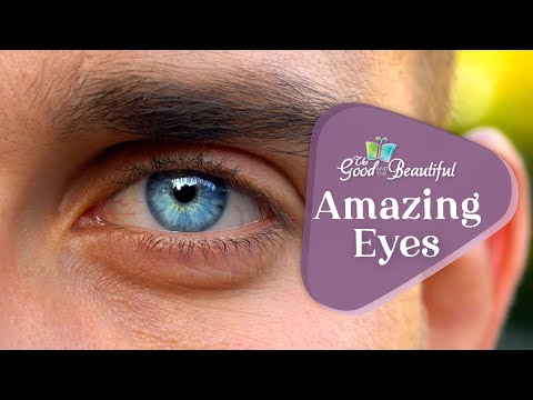 Amazing Eyes | Health and the Human Mind | The Good and the Beautiful