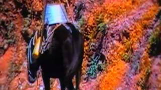 preview picture of video 'Viajando con el burro al cerro de nubes'