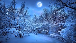 “The Enchanted Snow Forest” fantasy story by Reginald Murray FULL CAST OLD TIME RADIO AUDIO DRAMA