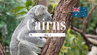 【Cairns vlog#1】🇦🇺ケアンズ旅行1日目/朝活してキュランダへ🐨💗