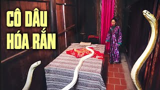 CÔ DÂU HÓA RẮN | CỔ TÍCH VIỆT NAM 2025 | CỔ TÍCH VIỆT NAM HAY 2025 | CỔ TÍCH NƯỚC NAM 2025