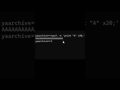 buffer overflows using PERL on the command  line #yaarchive #whatthehack