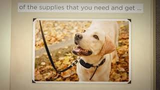 Pet Supplies - Puss and Pooch