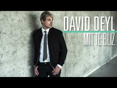 David Deyl - Mít tě blíž (Audio)