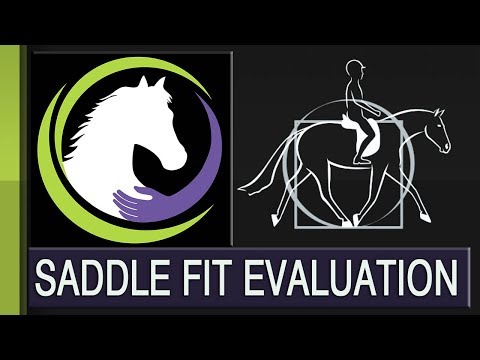 What to Expect in a Saddle Fit Evaluation