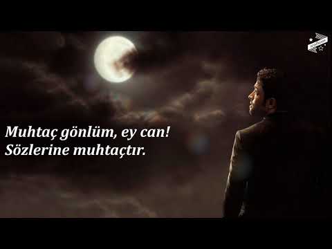 Bu cuma gelir mi? / Mohammad Reza Aghasi | شايد اين جمعة بيايد / محمدرضا آقاسی | İmam-ı Zamana Şiir