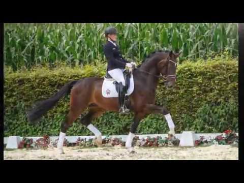 06 Fit for you  Wallach v. Franziskus - Damon Hill