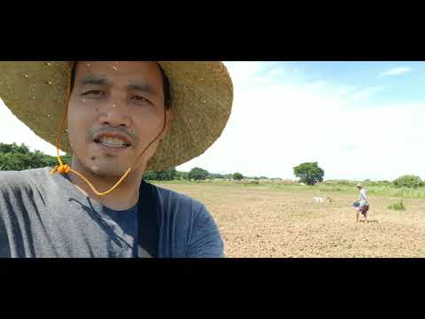 Land Preparation (part 2)