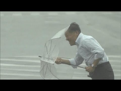 Typhoon Talim: at least two dead as storm sweeps Japan