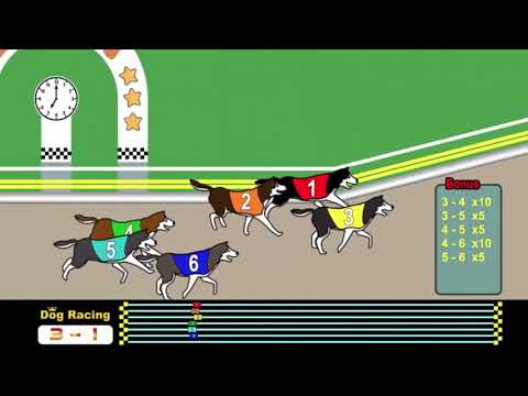 Dog Racing Video