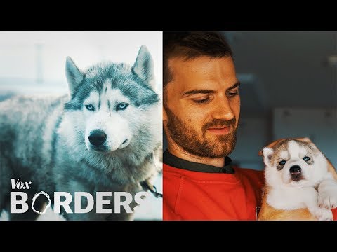 哈士奇是俄羅斯人嗎？要看你問誰。 (Are huskies Russian? Depends who you ask.)