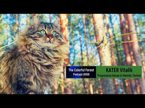 KATER Vitalik - The Colorful Forest (Progressive House & Melodic Techno Mix) - Podcast #009